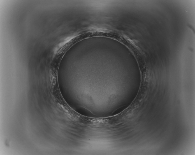 X0000102821303200808251101