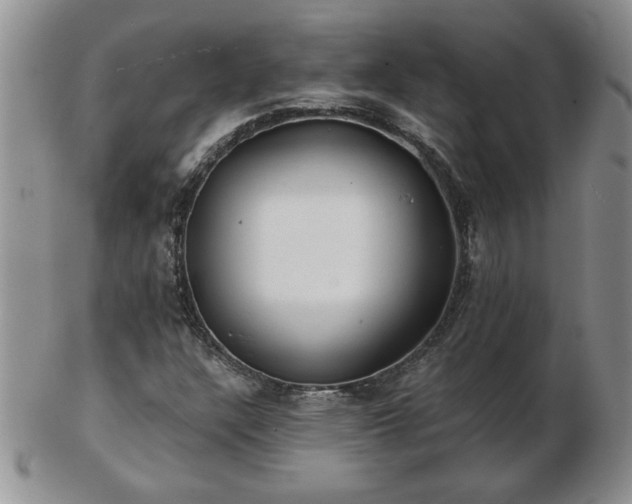 X0000102821304200808251101