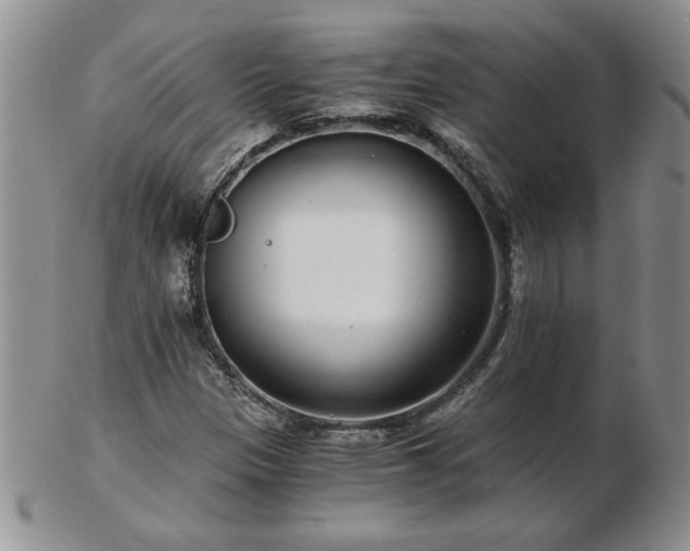 X0000102821305200808251101