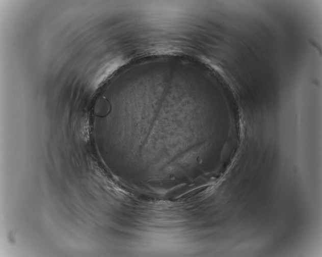 X0000102821306200808251101