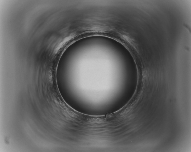 X0000102821307200808251101