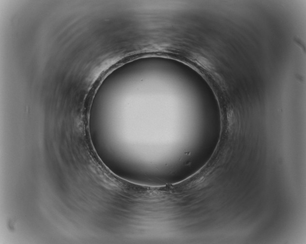 X0000102821308200808251101
