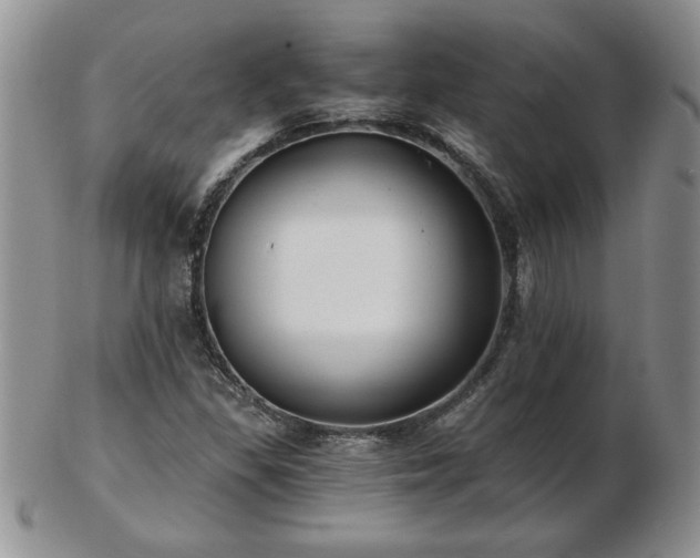 X0000102821309200808251101
