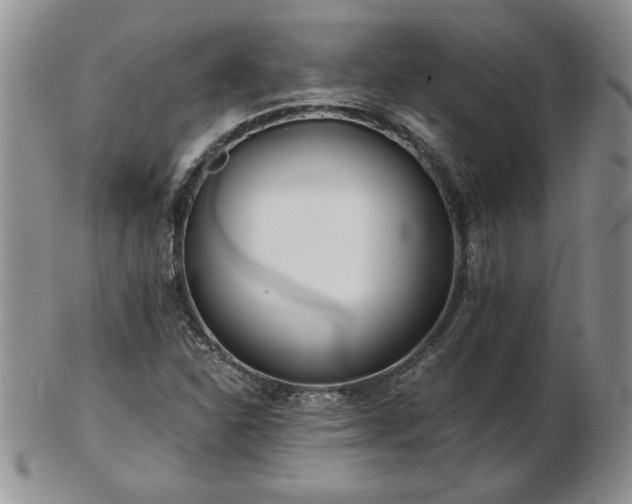 X0000102821310200808251101
