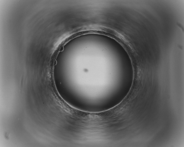 X0000102821312200808251101