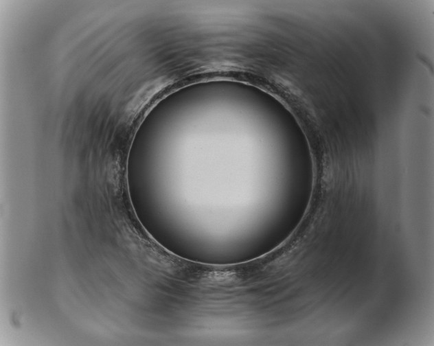 X0000102821313200808251101