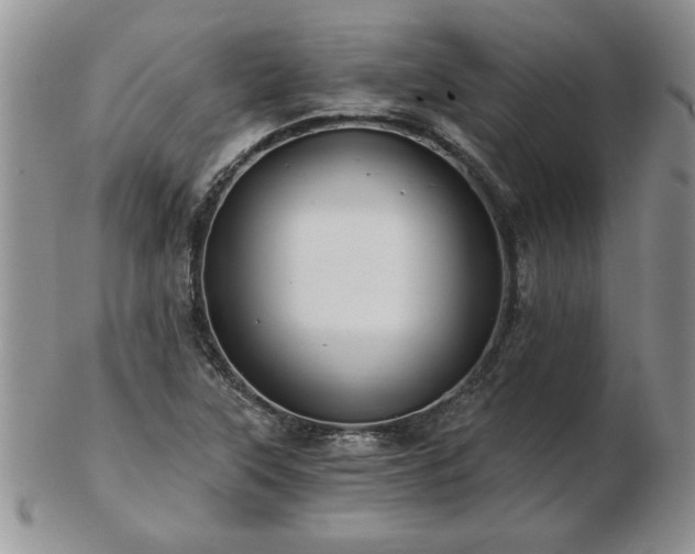 X0000102821315200808251101