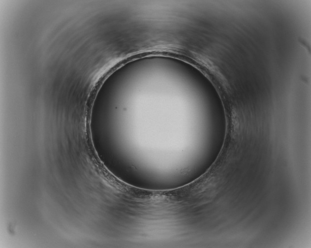 X0000102821316200808251101