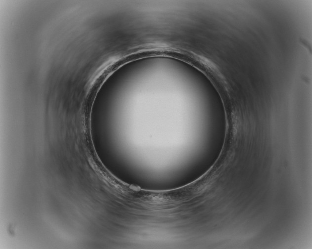 X0000102821318200808251101