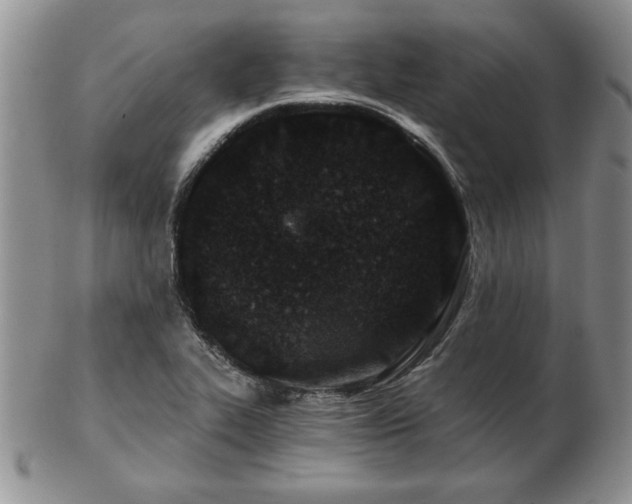 X0000102821319200808251101