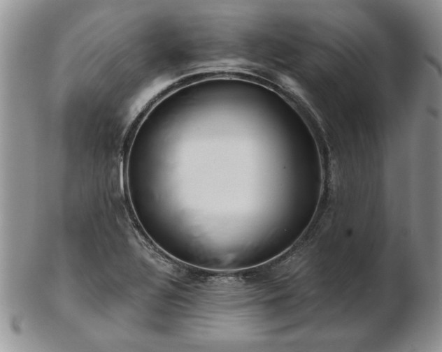 X0000102821320200808251101
