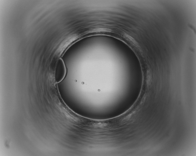 X0000102821321200808251101