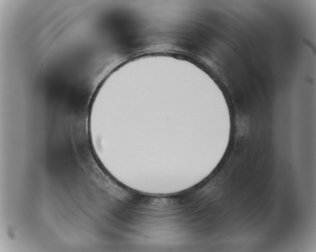 X0000102821322200808251101