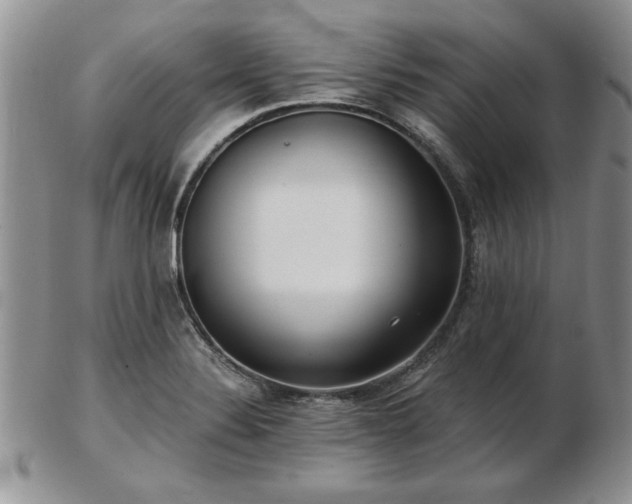 X0000102821324200808251101