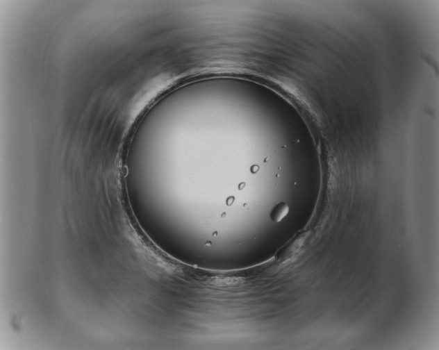 X0000102821325200808251102