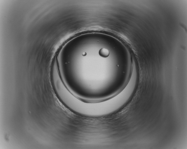 X0000102821326200808251102