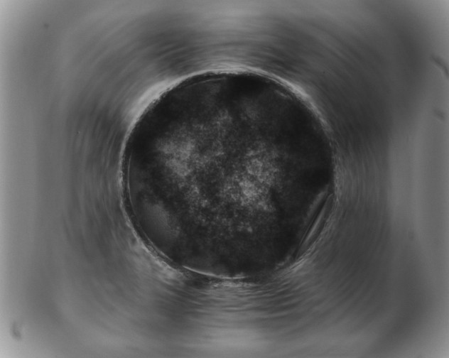 X0000102821327200808251102