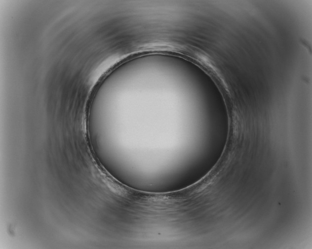 X0000102821328200808251102