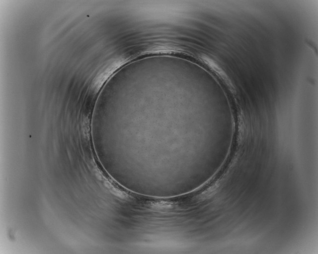 X0000102821329200808251102