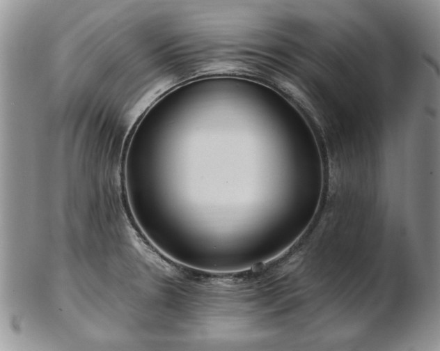 X0000102821330200808251102