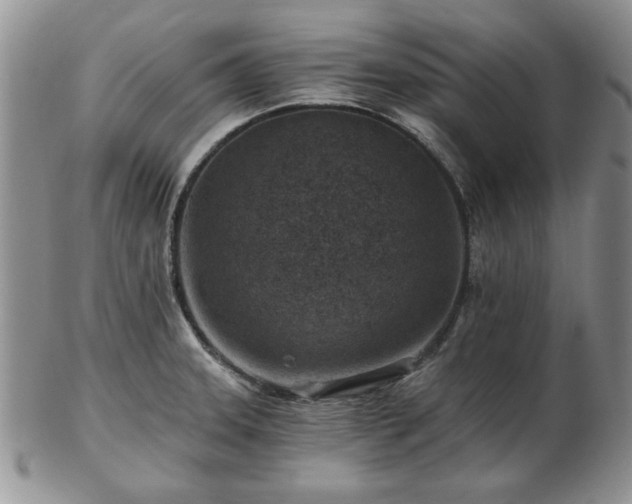 X0000102821331200808251102