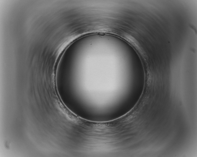X0000102821332200808251102