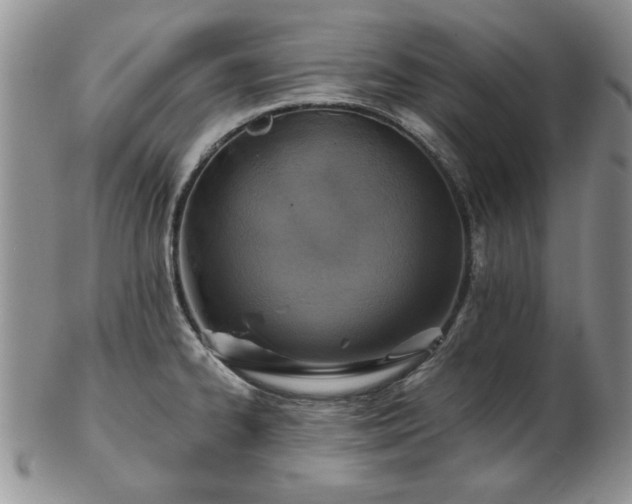 X0000102821334200808251102