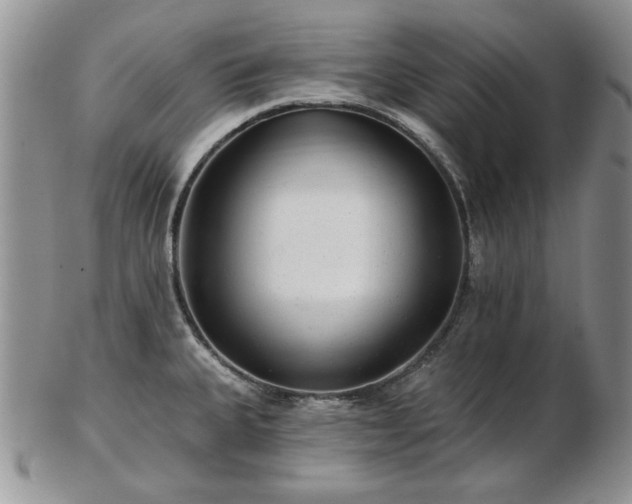 X0000102821335200808251102