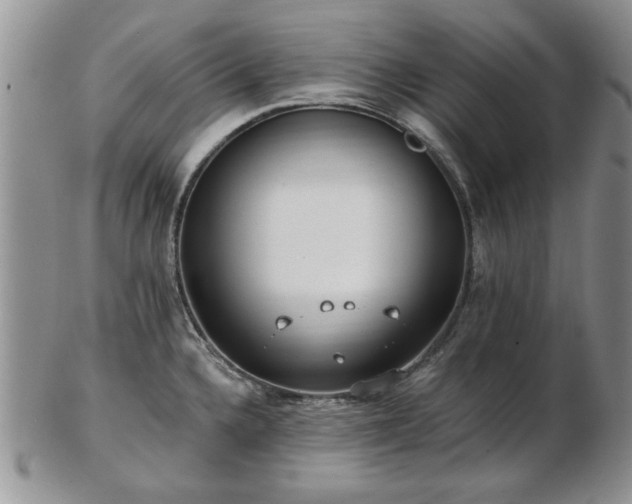 X0000102821336200808251102