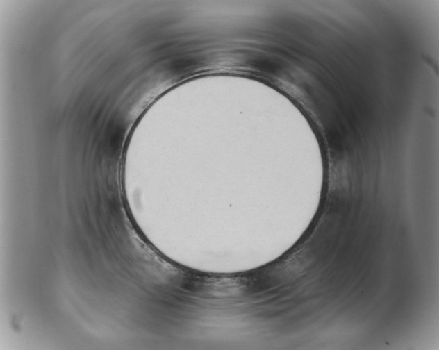 X0000102821338200808251102