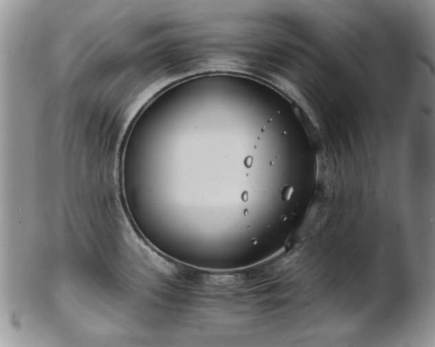 X0000102821339200808251102