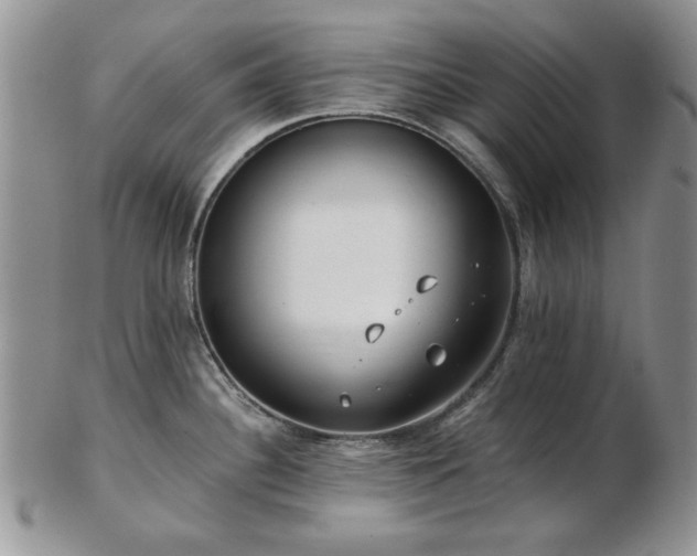 X0000102821340200808251102