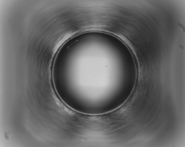 X0000102821341200808251102
