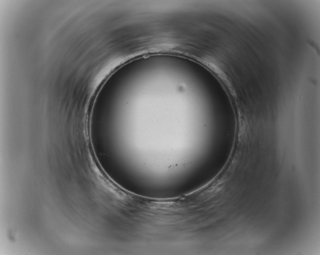 X0000102821342200808251102
