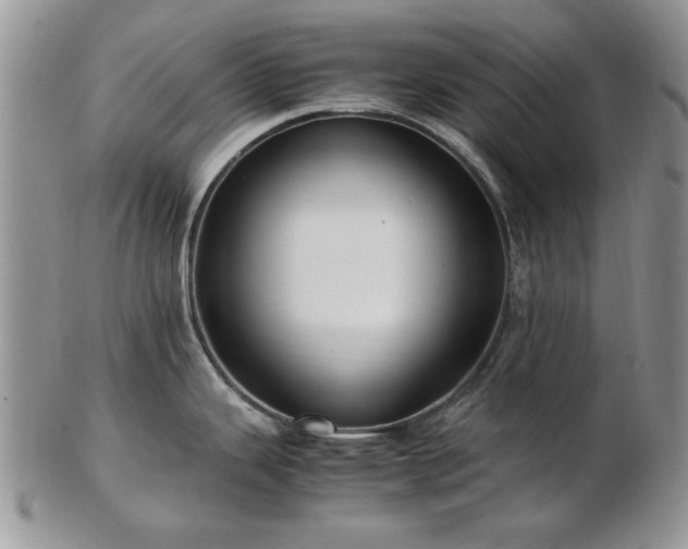 X0000102821343200808251102