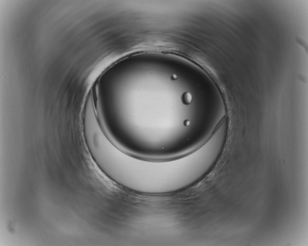 X0000102821344200808251102