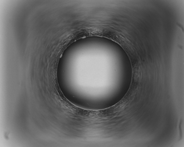 X0000102821345200808251101