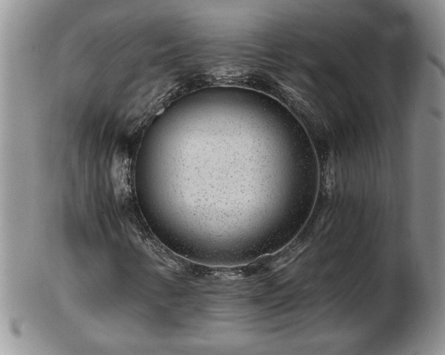 X0000102821346200808251101