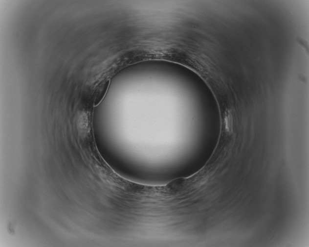 X0000102821347200808251101