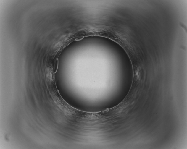 X0000102821348200808251101
