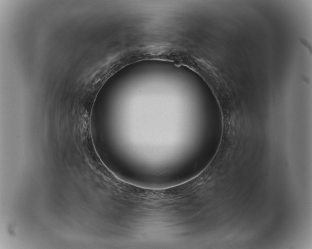 X0000102821349200808251101