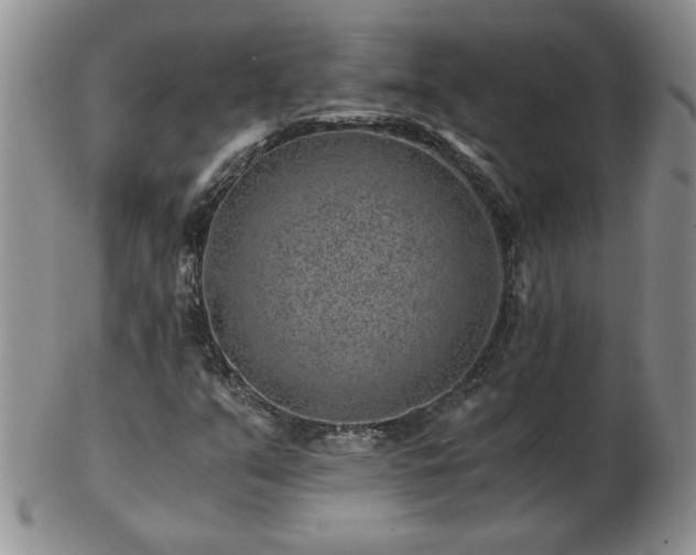 X0000102821351200808251101