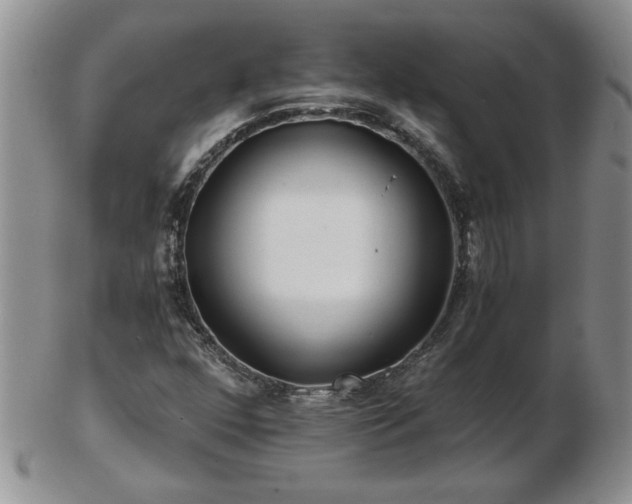X0000102821352200808251101