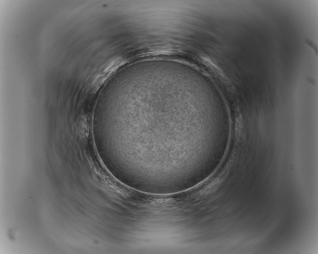 X0000102821353200808251101