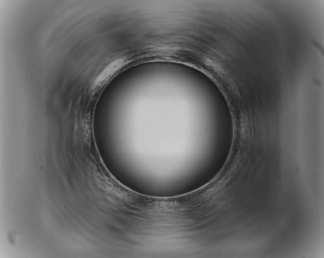 X0000102821354200808251101