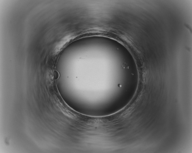 X0000102821355200808251101