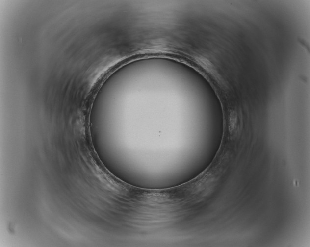 X0000102821356200808251101