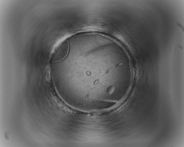 X0000102821358200808251101