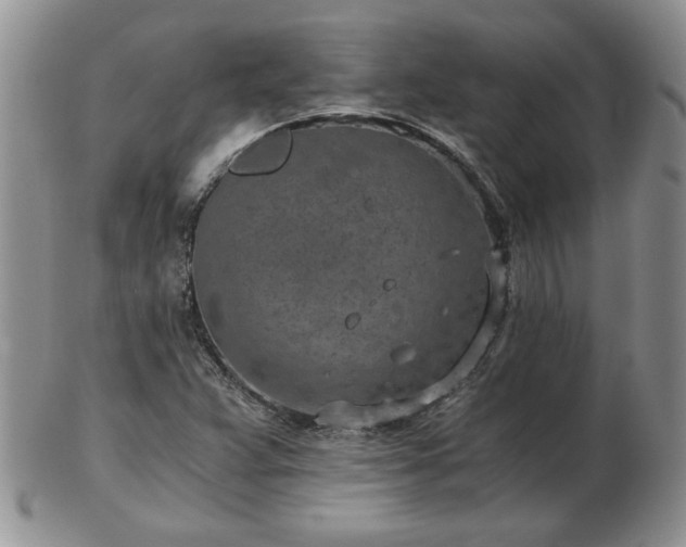 X0000102821359200808251101