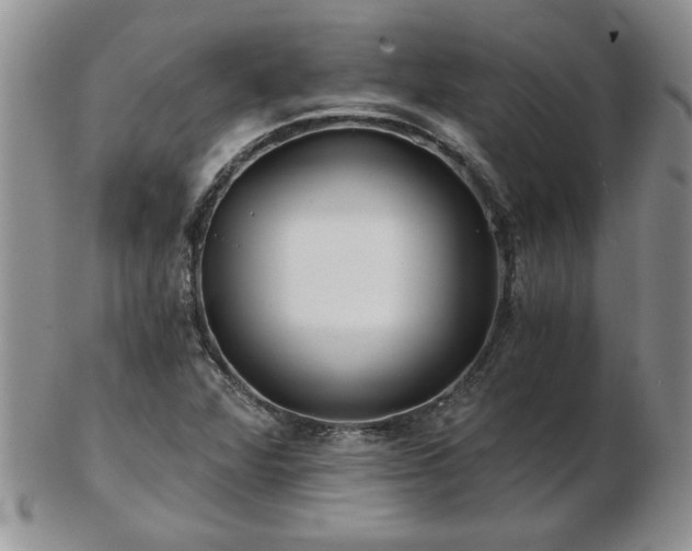 X0000102821360200808251101